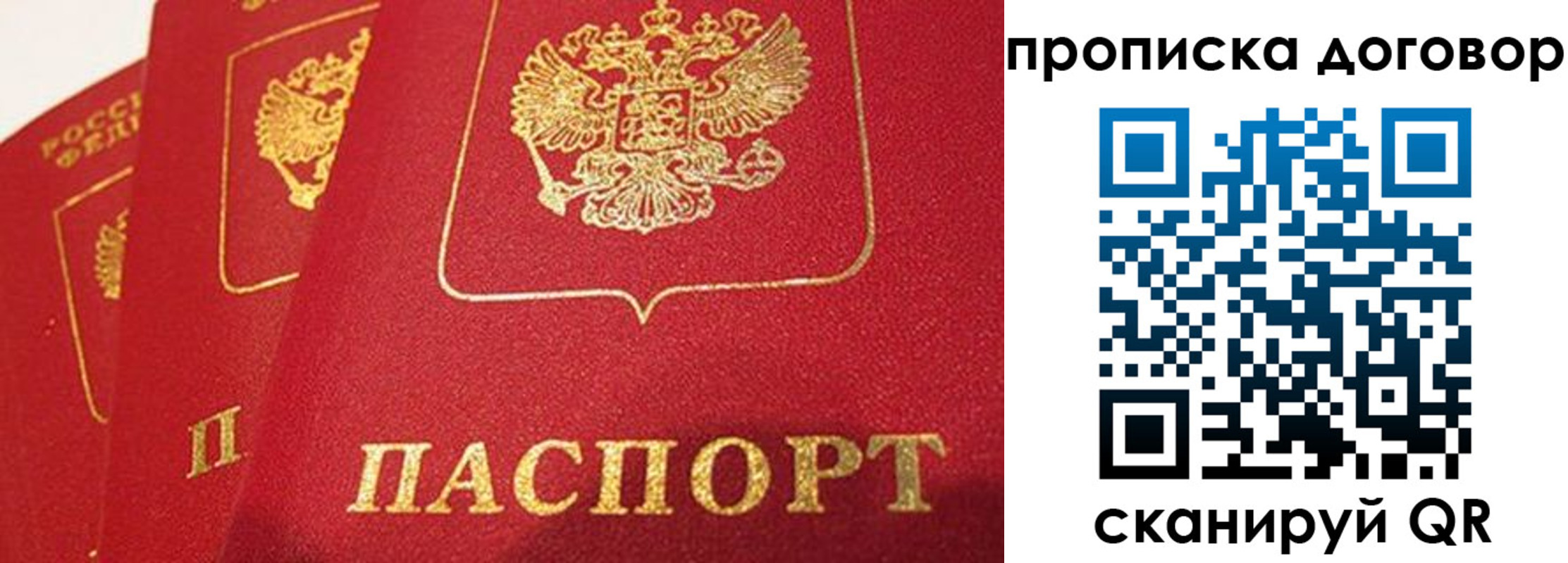 найти адрес прописки в Гвардейске